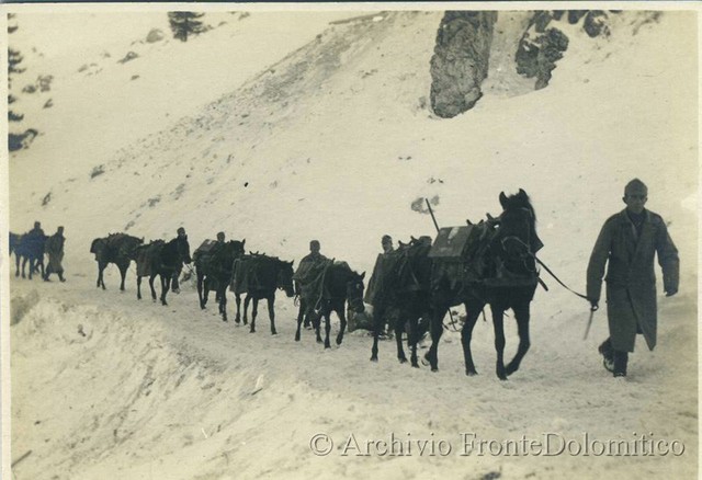 Muli in Valparola